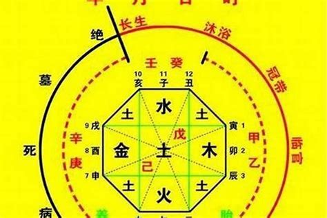 九運 八字 喜火|2024甲辰年即将到来的离火九运，这些八字特征的人。